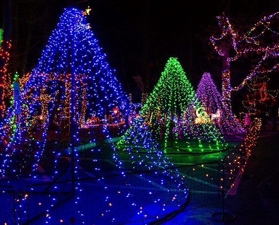 Christmas Magic 2022 York County Pa Christmas Magic 2021 - York County Parks Department Events